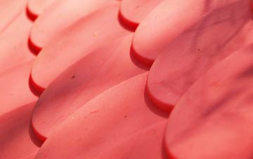 Brane plastic roof costs