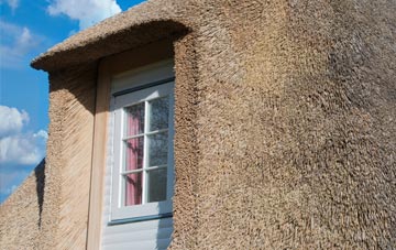 Brane thatch roof disadvantages