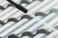 rated Brane roof cleaning companies